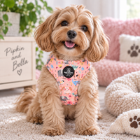 A small fluffy tan dog sits on a cream carpet wearing a pink patterned harness. The harness has a black circular logo patch in the center.