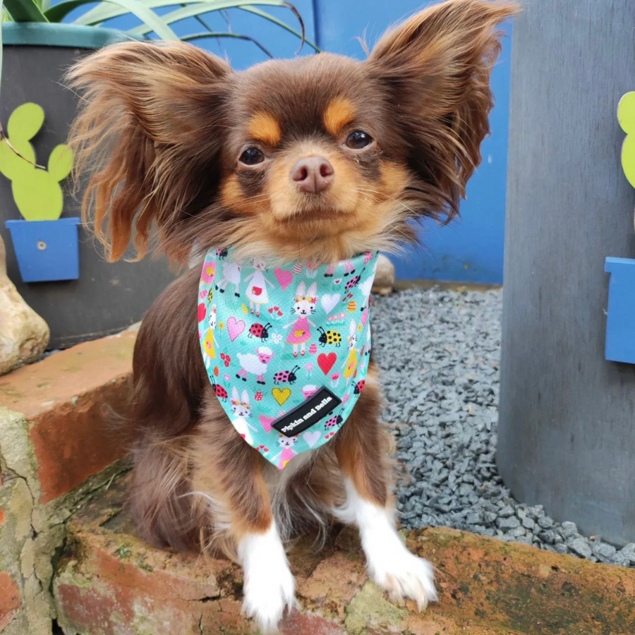 Pet Bandana - Florrie Bunny