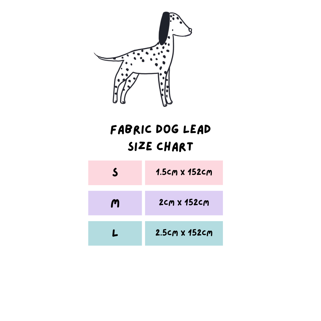 Fabric Dog Lead - Dino Races