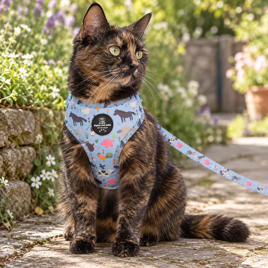 A tortoiseshell cat wearing a light blue harness with a colorful animal print and a matching leash, sitting outdoors on a stone path with garden plants in the background.