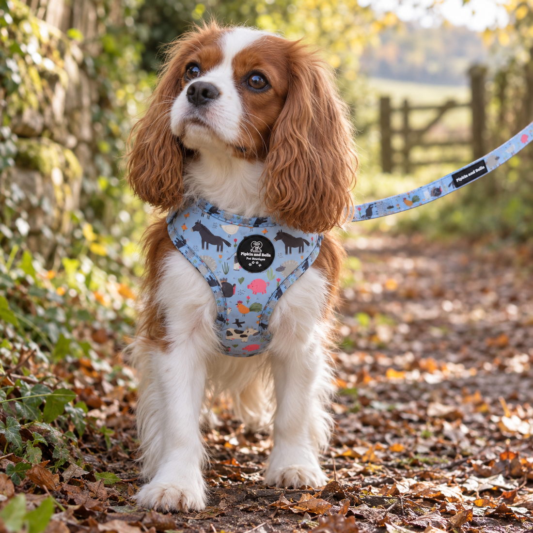 Adjustable Dog Harness - Farmyard Fairy Tale