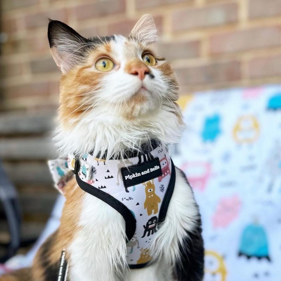 Pipkin and Bella Adjustable Cat Harnesses