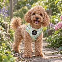 A small curly-haired brown dog stands on a garden path wearing a light green patterned harness with a black circular logo patch. The background shows a blurred garden with green foliage, pink flowers, and white daisies.