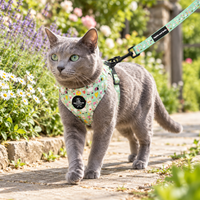 A gray cat wearing a pastel multicolor floral harness and leash walks along a garden path.