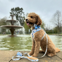 Fabric Dog Lead - Meadow