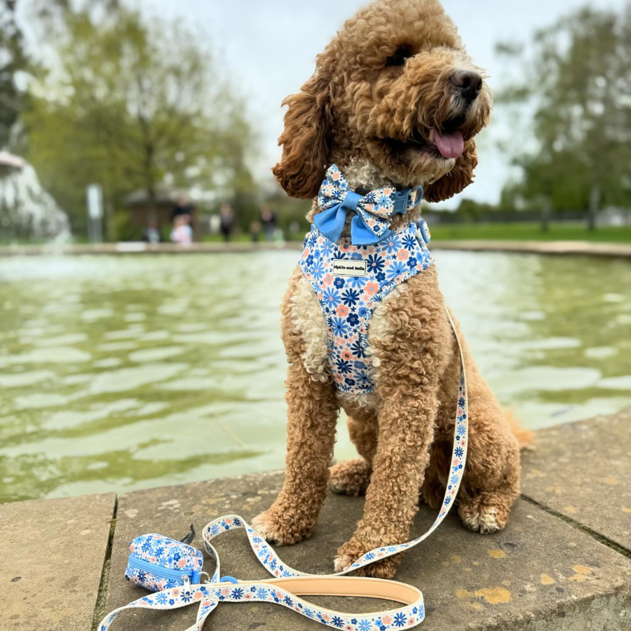 Fabric Dog Lead - Meadow