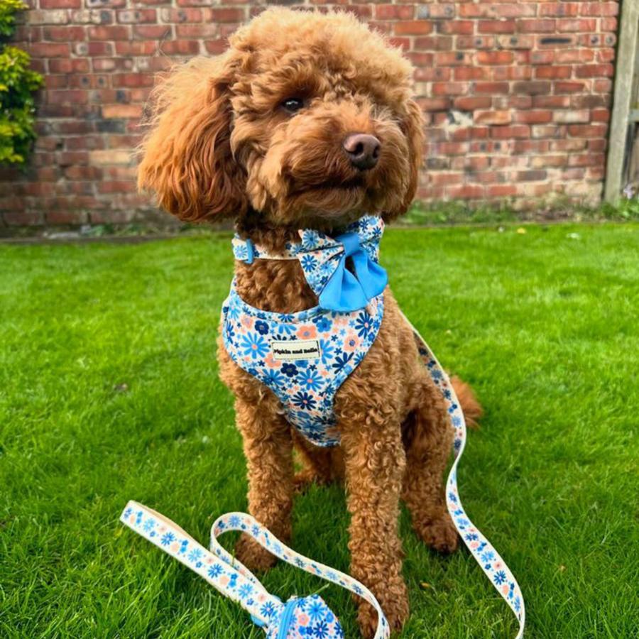 Adjustable Dog Harness - Meadow