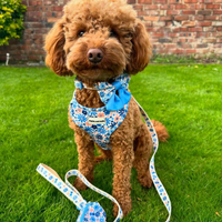 Fabric Dog Lead - Meadow