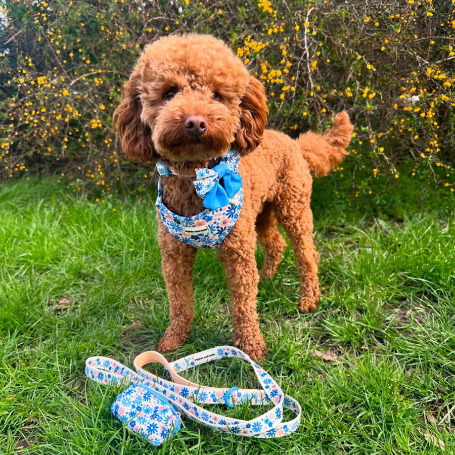 Fabric Dog Lead - Meadow