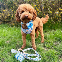 Adjustable Dog Harness - Meadow