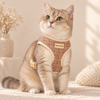 A fluffy cream and brown cat wearing a woven harness, sitting on a soft cream rug in a warm, sunlit room.