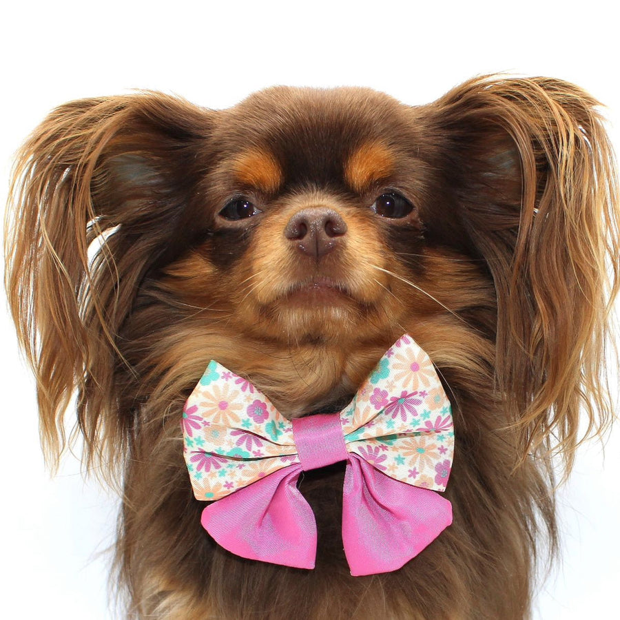 Pet Sailor Bow Tie - Blossom