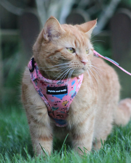 rosie wearing eLLIE fUNK