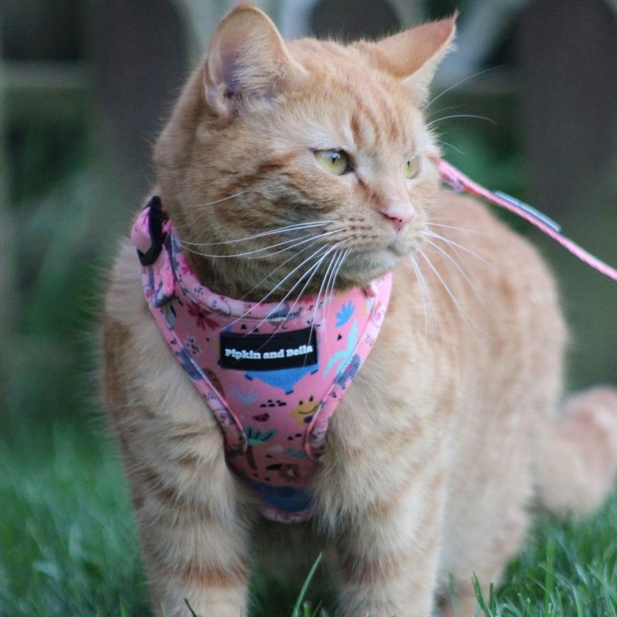 Adjustable Cat Harness - Ellie Funk