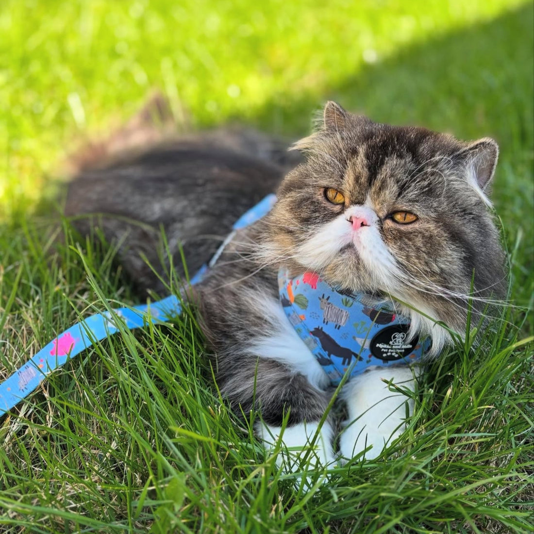 Adjustable Cat Harness - Farmyard Fairy Tale
