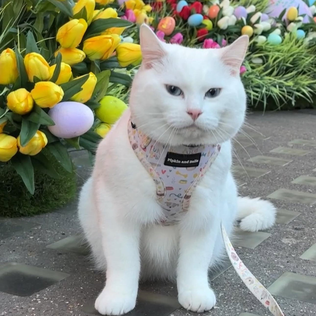 Adjustable Cat Harness - Cute Fur Baby