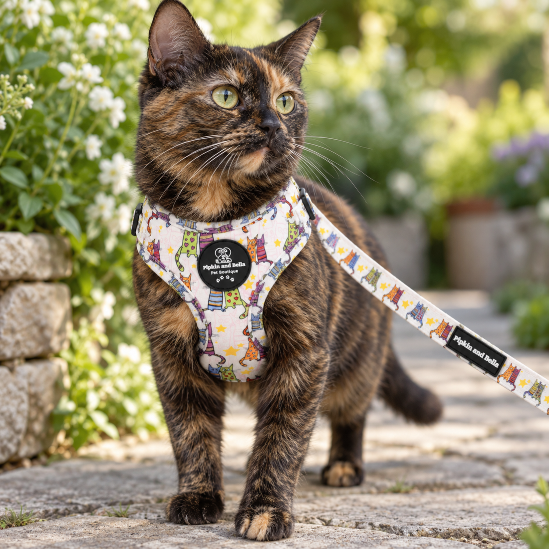A tortoiseshell cat wearing a white harness with a colorful cartoon dog pattern and a matching leash, standing on a stone garden path.