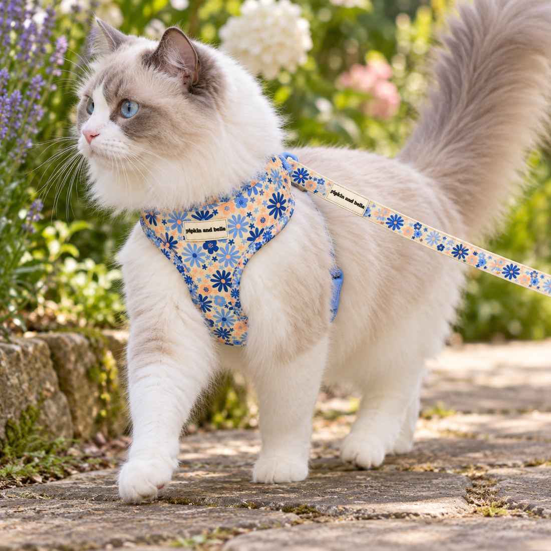 Adjustable Cat Harness - Meadow