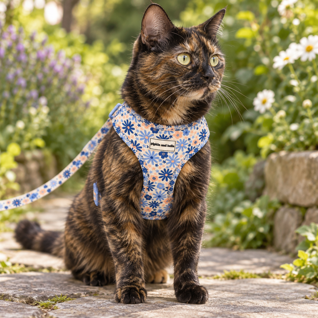 A tortoiseshell cat wearing a blue and peach floral harness sits on a stone path in a garden. The harness has a white logo patch in the center that reads 'Pipkin and Bella'.