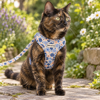 A tortoiseshell cat wearing a blue and peach floral harness sits on a stone path in a garden. The harness has a white logo patch in the center that reads 'Pipkin and Bella'.