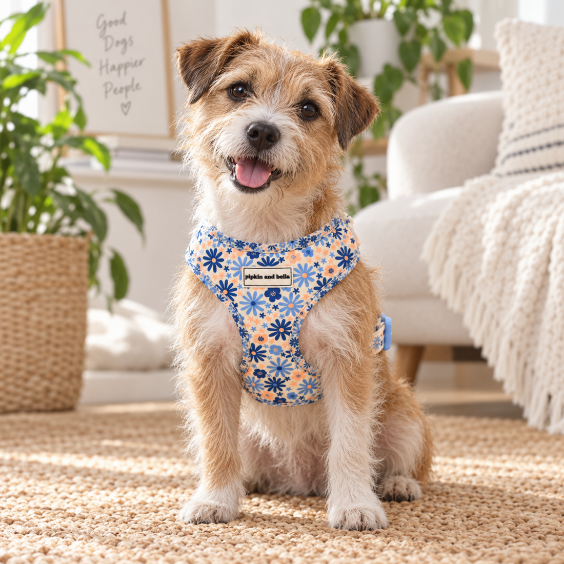 Adjustable Dog Harness - Meadow