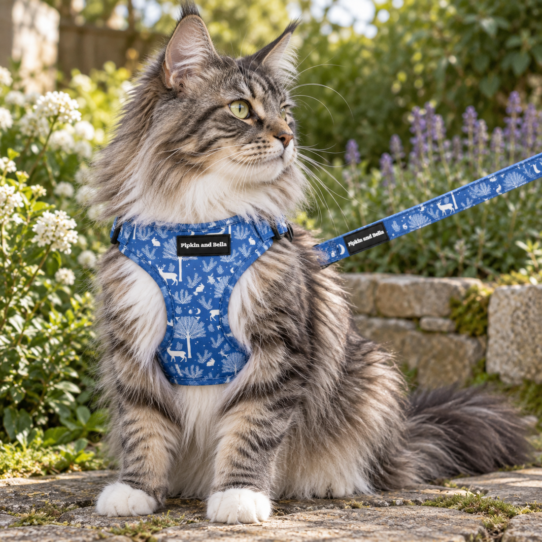 Adjustable Cat Harness - Moonlight Walk