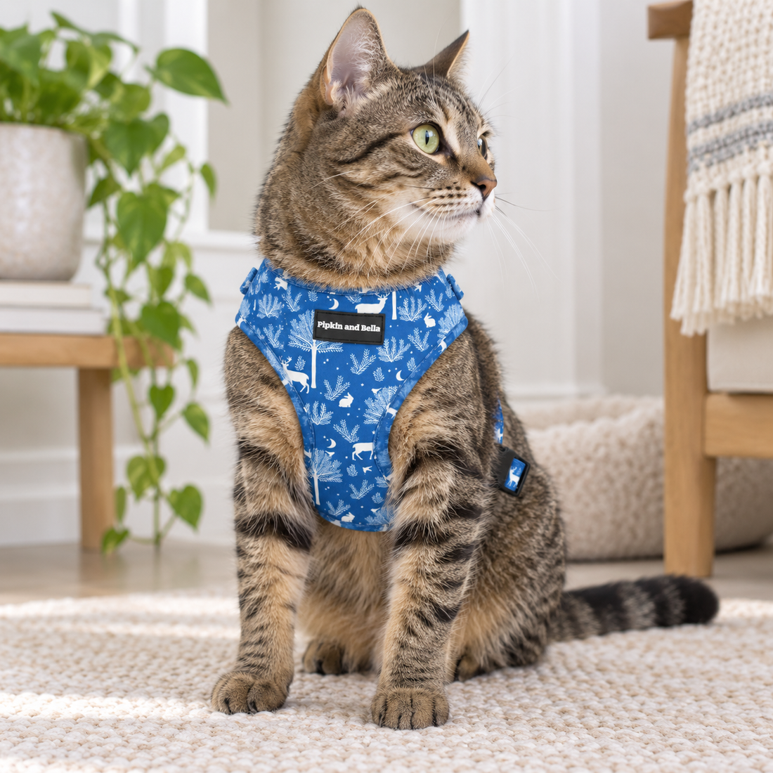 Adjustable Cat Harness - Moonlight Walk