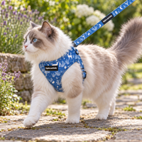 Adjustable Cat Harness - Moonlight Walk