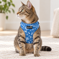 Adjustable Cat Harness - Moonlight Walk