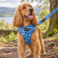 Adjustable Dog Harness - Moonlight Walk
