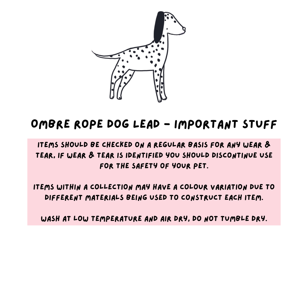 Ombre Rope Dog Lead - Sherbet