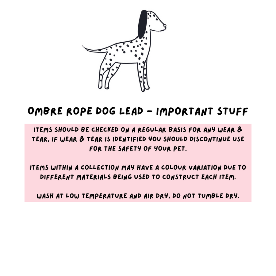 Ombre Rope Dog Lead - Candy