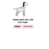 Ombre Rope Dog Lead - Beach