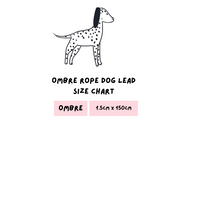 Ombre Rope Dog Lead - Coral Glow