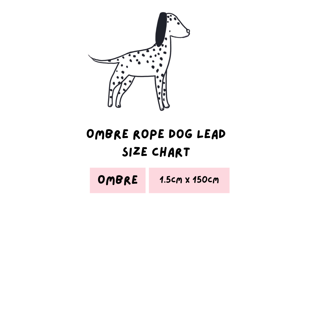 Ombre Rope Dog Lead - Candy