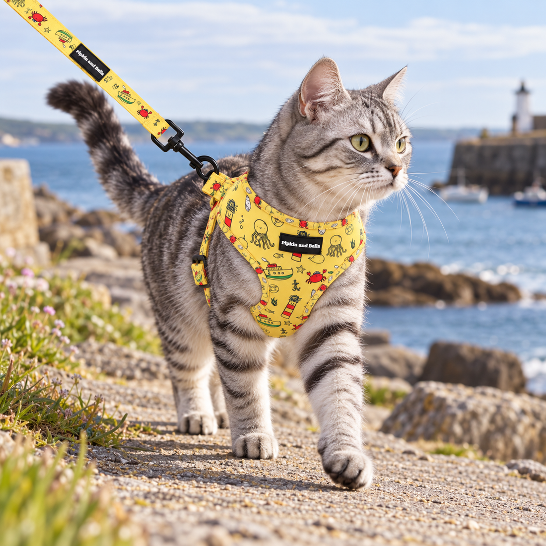 A gray tabby cat wearing a yellow octopus-themed harness and leash walks along a rocky seaside path with the ocean and lighthouse visible in the background.