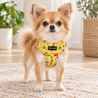 A small fluffy dog stands on a cream rug indoors wearing a yellow harness with a colorful cartoon print. The harness has a black label that reads 'Pipkin and Bella'.