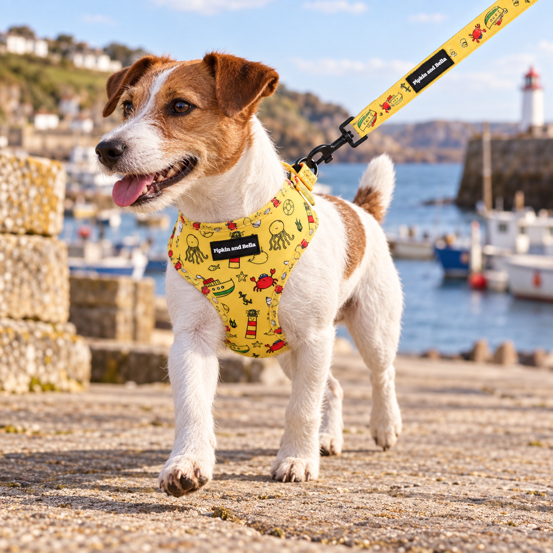 A small white and brown dog wearing a yellow patterned harness and leash stands on a stone harbor walkway with boats and water in the background.