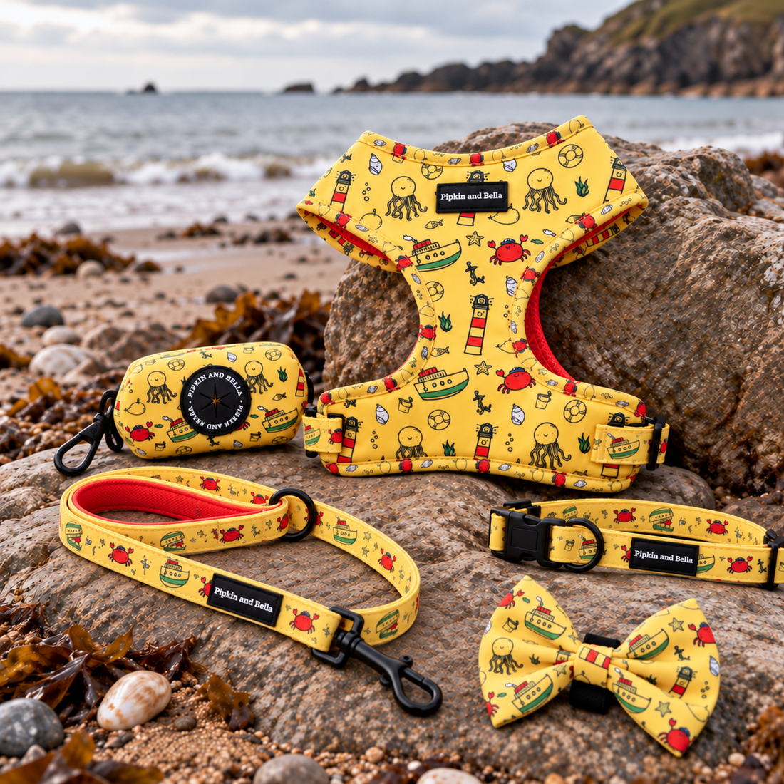 Fabric Dog Lead - Paws Ahoy
