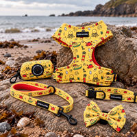 Fabric Dog Lead - Paws Ahoy