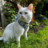 Adjustable Cat Harness - Meadow