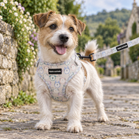 A small white and tan dog stands on a stone path wearing a patterned harness and leash. The harness has a light beige base with blue, gray, and white cartoon bunny motifs and black brand patches.