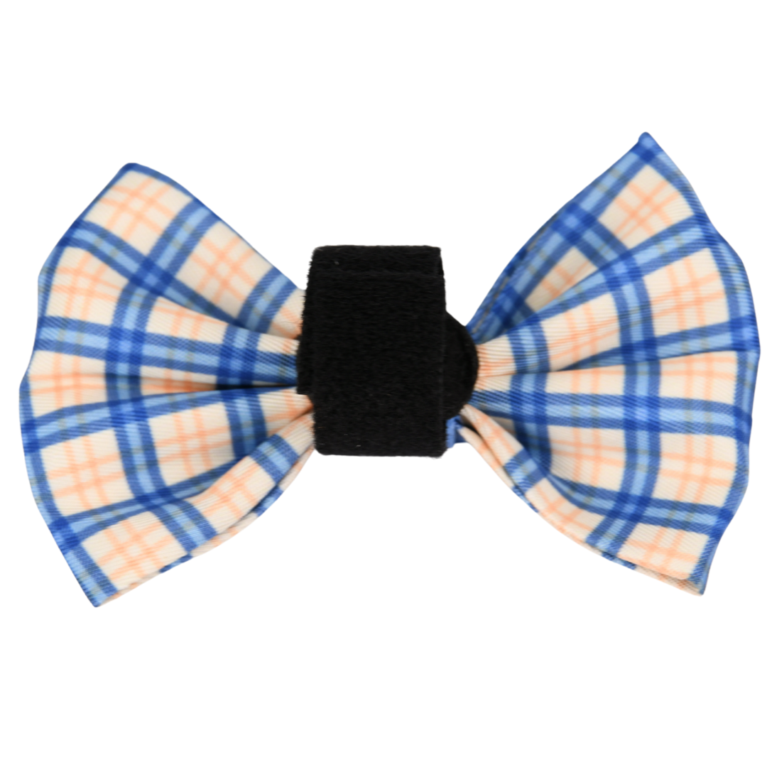 Pet Bow Tie - Twilight