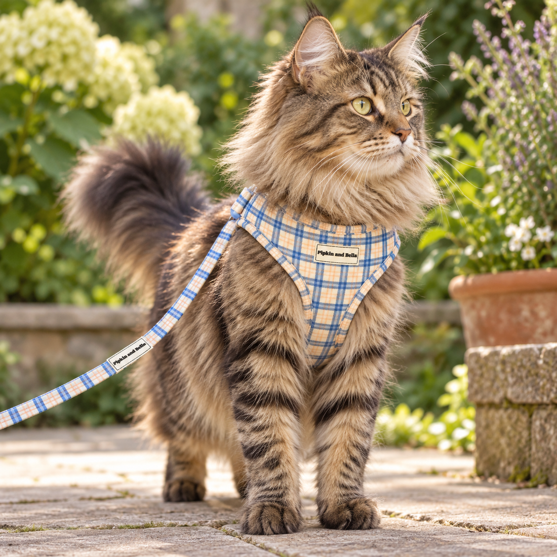 Adjustable Cat Harness - Twilight