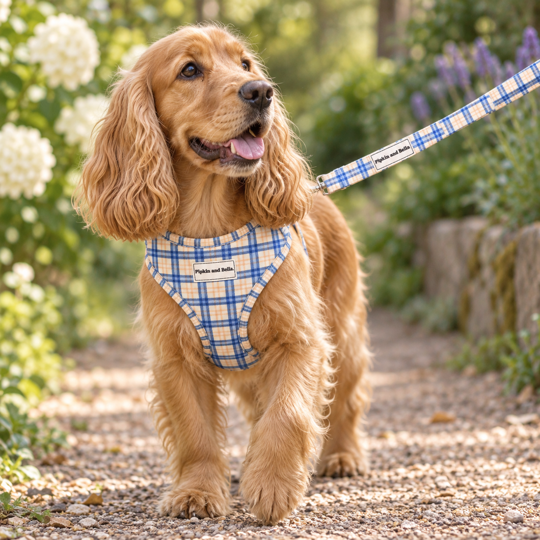 Adjustable Dog Harness - Twilight