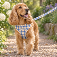 Adjustable Dog Harness - Twilight