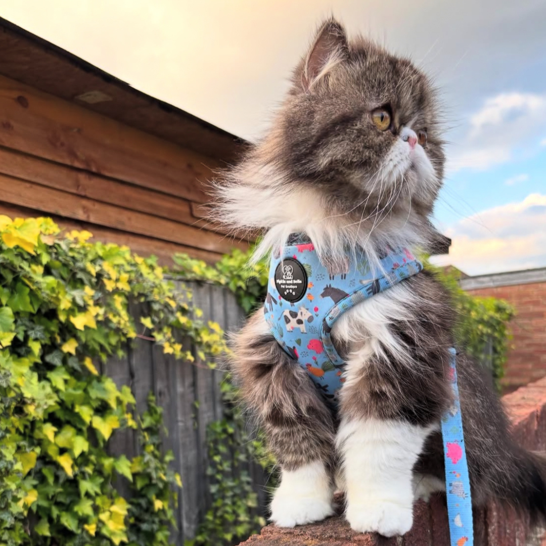 Adjustable Cat Harness - Farmyard Fairy Tale