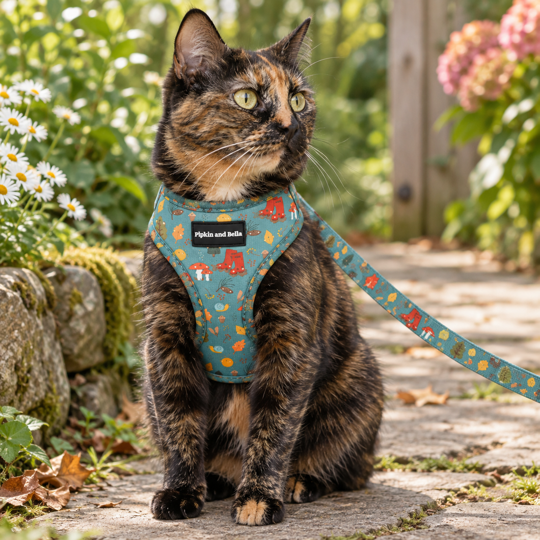 A tortoiseshell cat wearing a teal harness with a mushroom and leaf pattern sits on a stone garden path. The harness has a black label reading 'Pipkin and Bella'.