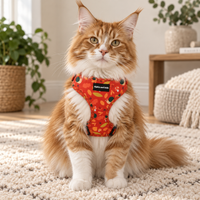 A fluffy orange-and-white cat sits on a cream rug wearing a red harness printed with autumn leaves and small black details. The harness has a small black label that reads 'Pipkin and Bella'.