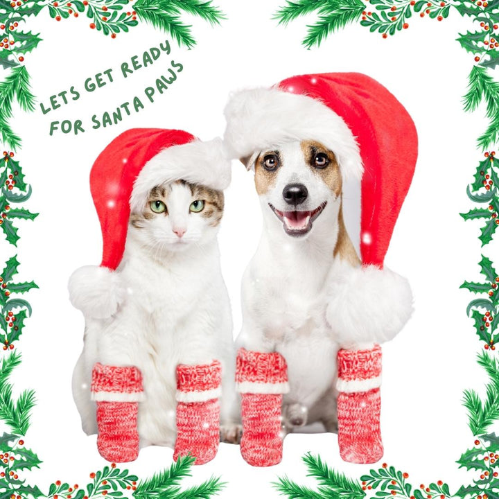 Dog and cat Christmas pet collection